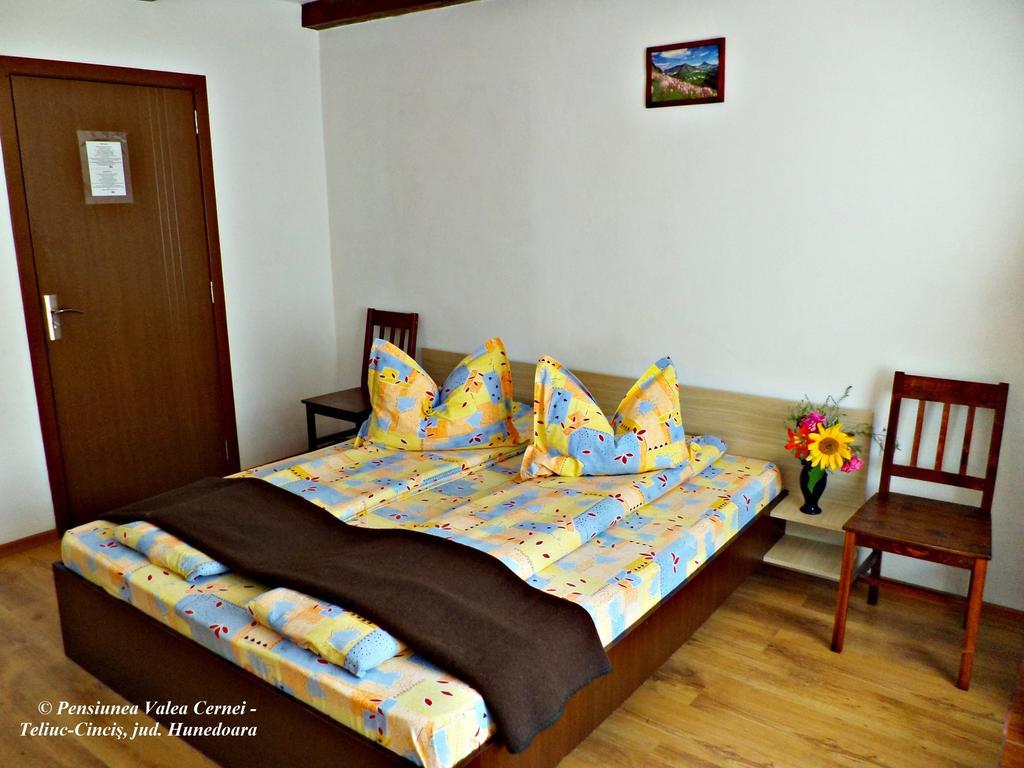 Pensiunea Valea Cernei Teliucu Inferior Room photo