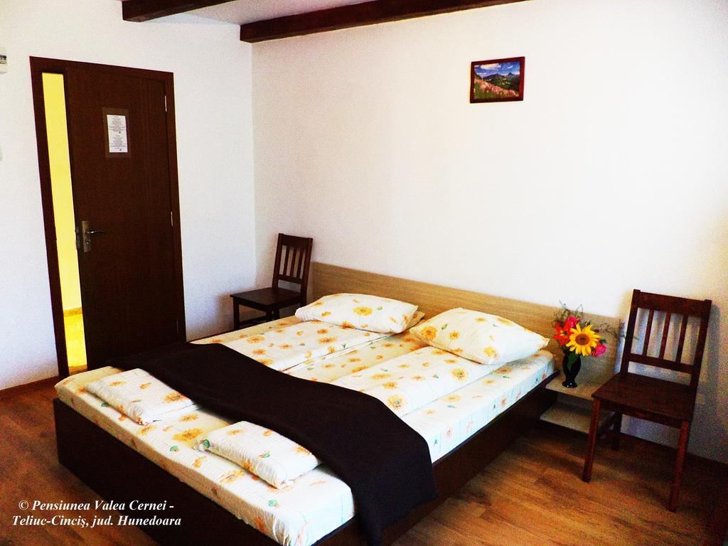 Pensiunea Valea Cernei Teliucu Inferior Room photo